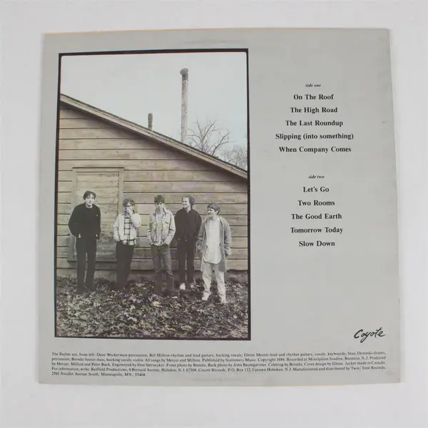 The Feelies - The Good Earth 12" Vinyl Record