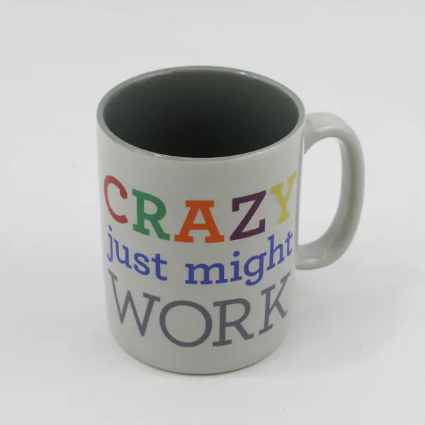 Crazy Just Might Work Coffee Tea Mug Cup Gray and Colorful 