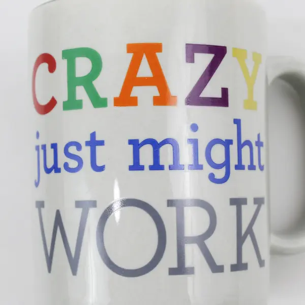 Crazy Just Might Work Coffee Tea Mug Cup Gray and Colorful 