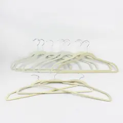 Joy Mixed Brand Lot of 10 Beige Velvet Clothes Hangers Non-Slip