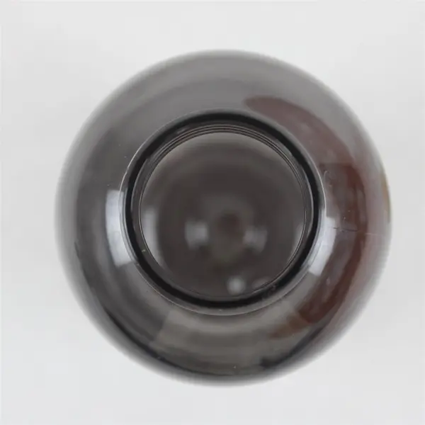 BPA Free Plastic Water Bottle With Wooden Twist Cap