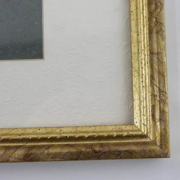 Lot of 2 Gold Finish Matted Tabletop Picture Frames