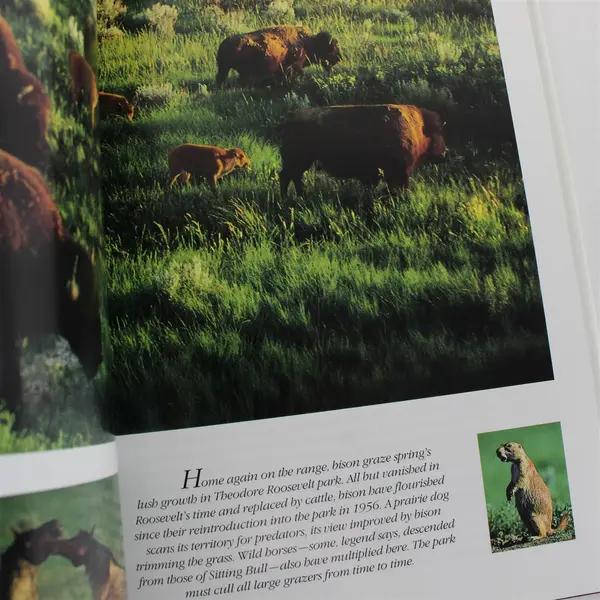 America's Hidden Treasures: Little-Known National Parks Hardcover
