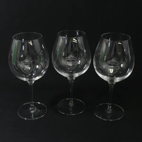 Lot Of 3 Fueled By Fine Wine Matching Clear Glass Red Wine Glasses 9" Tall