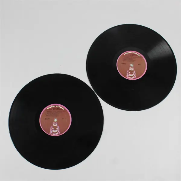 Dick Clark 20 Years Of Rock N' Roll 2-Record 12" Vinyl Set