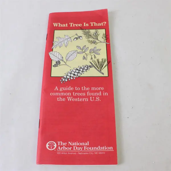 What Tree Is That? A Guide to Common Trees West US National Arbor Day Foundation