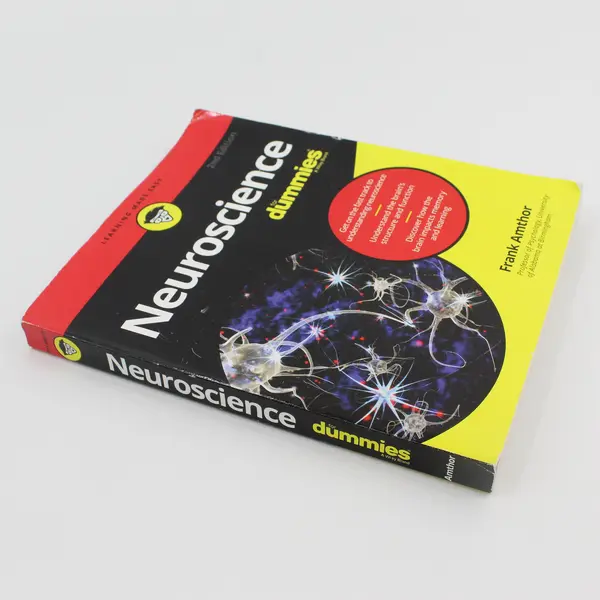 Neuroscience for Dummies Frank Amthor 2nd Ed 2016 PB Learning Made Easy Series