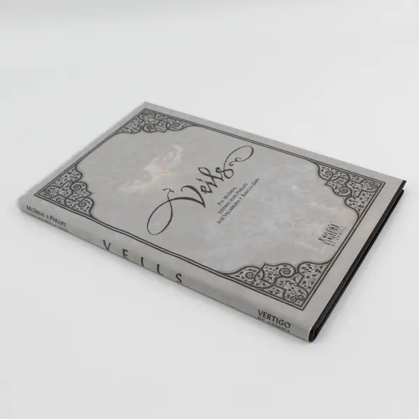 Veils A Graphic Novel by Pat McGreal For Mature Audiences 1999 Hardcover DJ