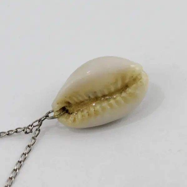 Pre-Owned Cowrie Shell Necklace Natural Seashell Charm Pendant