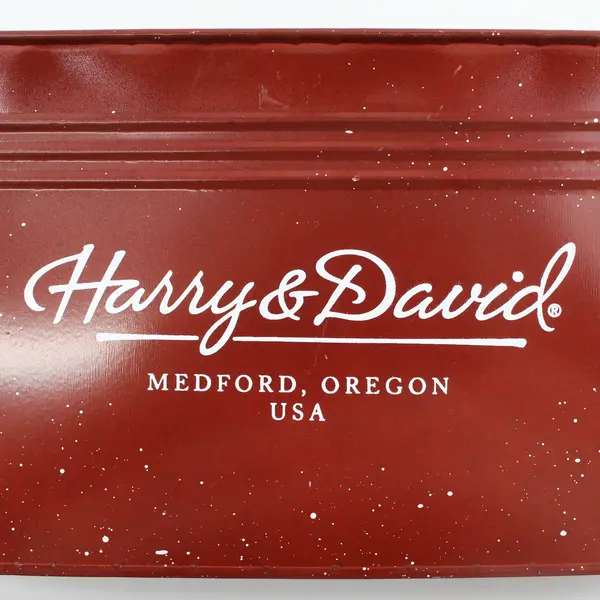 Harry & David Red Metal Gift Display Basket 13.8x6.2x6 in