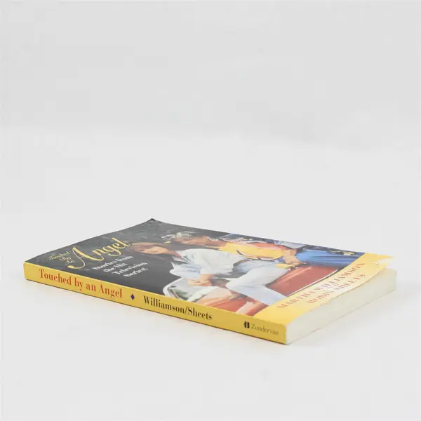 Touched by an Angel Martha Williamson Robin Sheets Hit TV Series Stories 1997 PB