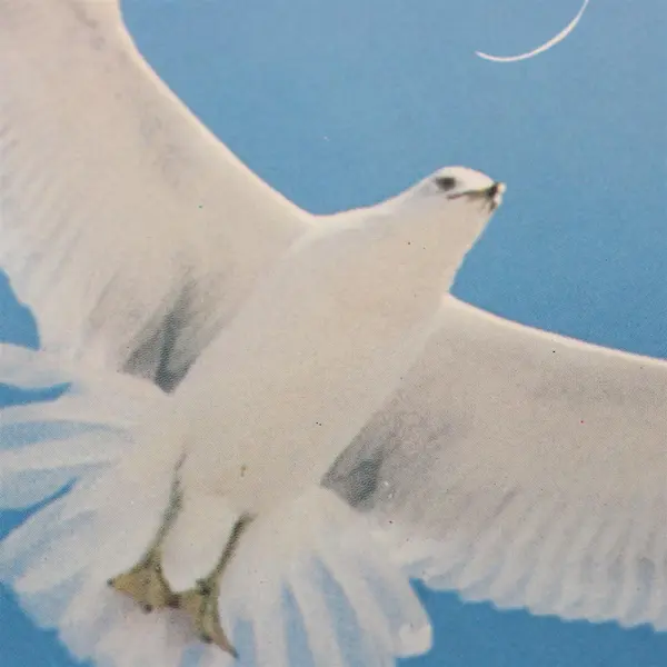 Hap Palmer Sea Gulls Music for Rest and Relaxation 12" Vinyl AR 584