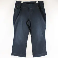 Belle by Kim Gravel Dark Blue Wash Pull-On Straight Leg Jeans Front Seam 22WP