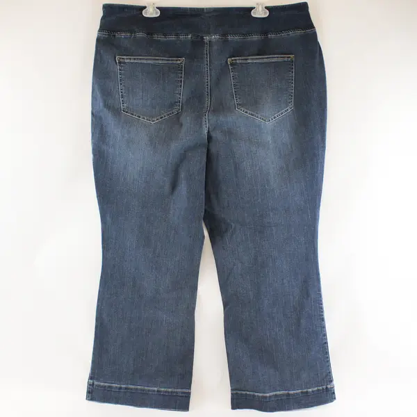 Belle by Kim Gravel Blue Pull-On Wide Leg Jeans Front Seam 22WP