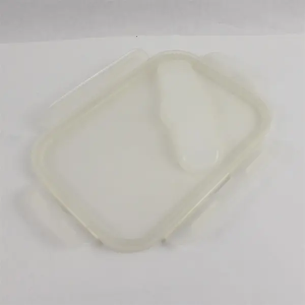 Unbranded Teal Blue Collapsible 2-Compartment Food Storage Container w/ Lid