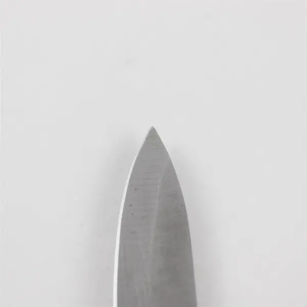 Cuisine de France High-Carbon Stainless Steel Blade Paring Knife