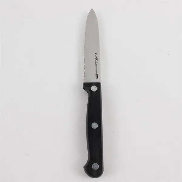 Set of 2 Ginsu 4.5" Stainless Steel Blade Paring Knife Set
