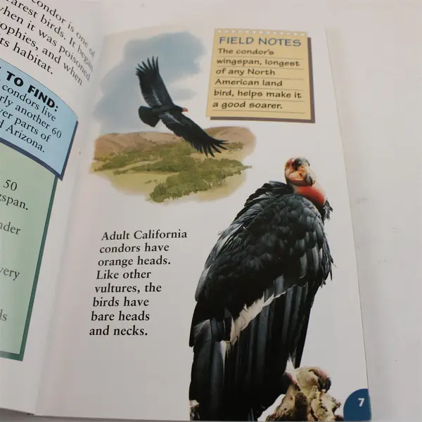 National Geographic Lot of 2 PB Birds of Prey & Backyard Wilderness 2003