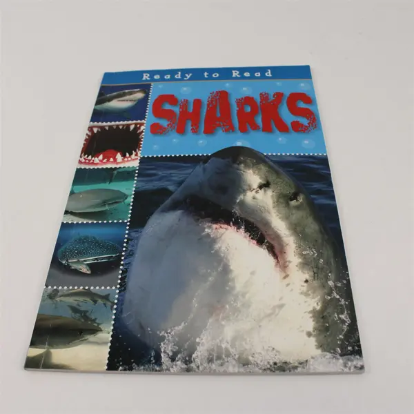 Sharks by Sarah Creese 2011 Paperback Ready to Read Series 