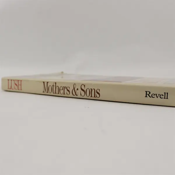 Mothers & Sons Raising Boys to Be Men Jean Lush Pamela Vredevelt 1997 Paperback