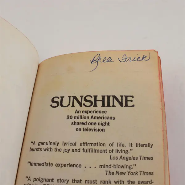 Sunshine Norma Klein 1974 Paperback Avon