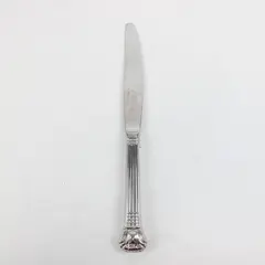 Retroneu Avignon Vendome Stainless Steel Dinner Knife 9.5 in