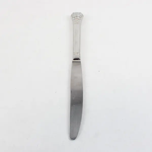 Retroneu Avignon Vendome Stainless Steel Dinner Knife 9.5 in