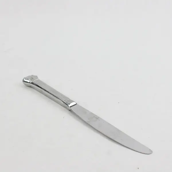 Retroneu Avignon Vendome Stainless Steel Dinner Knife 9.5 in