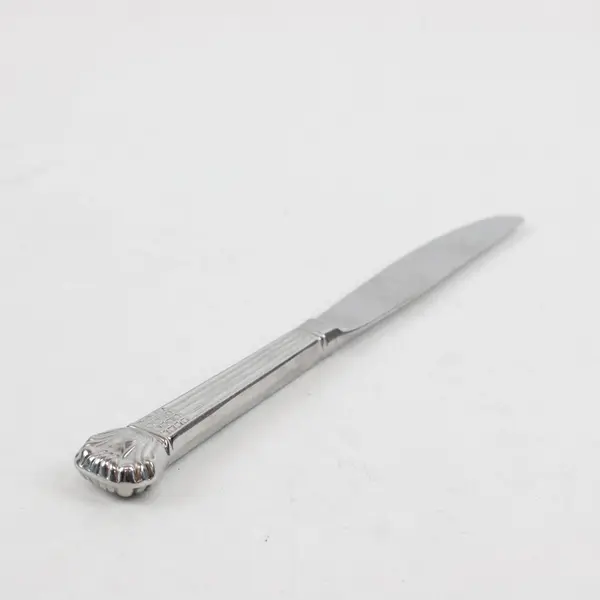 Retroneu Avignon Vendome Stainless Steel Dinner Knife 9.5 in