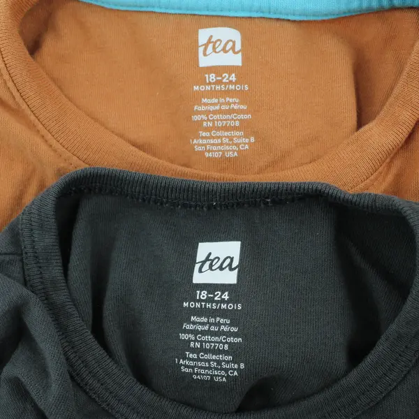 Lot of 2 Tea Animal-Themed Graphic T-Shirts Baby's Size 18-24 Mos