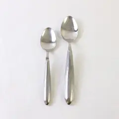 Lot of 2 Retroneu Leopold 18/10 Stainless Teaspoon & Place Spoon
