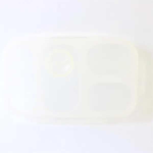 SmartPlanet Portion Perfect Collapsible Meal Kit Green Silicone 4 Sect Snap Lid