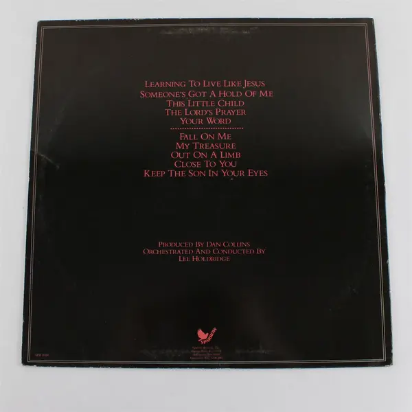 Scott Wesley Brown SWB 12" Vinyl Record