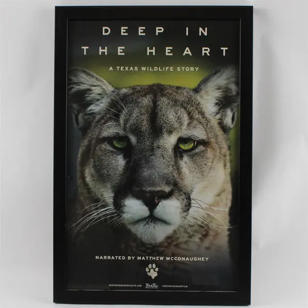 Deep in the Heart: A Texas Wildlife Story 2022 Poster Framed Black 18" x 12"