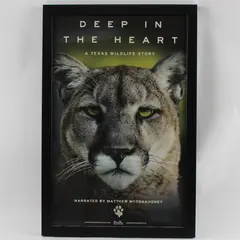 Deep in the Heart: A Texas Wildlife Story 2022 Poster Framed Black 18" x 12"