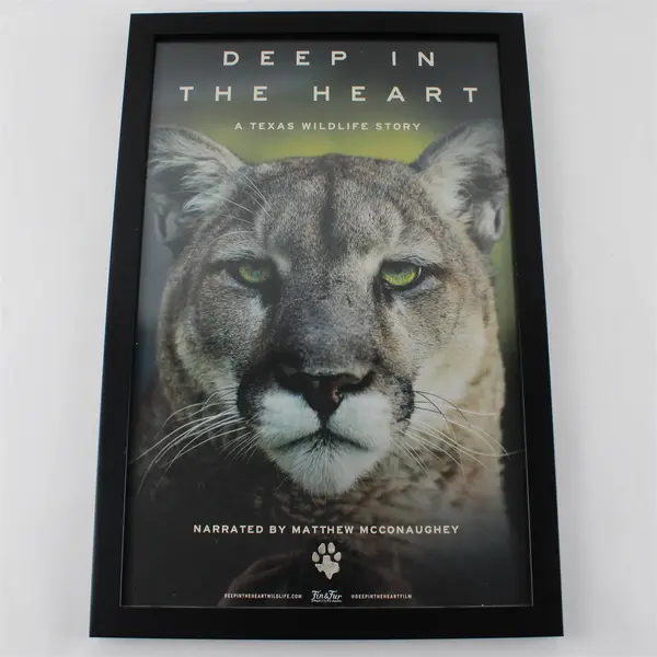 Deep in the Heart: A Texas Wildlife Story 2022 Poster Framed Black 18" x 12"