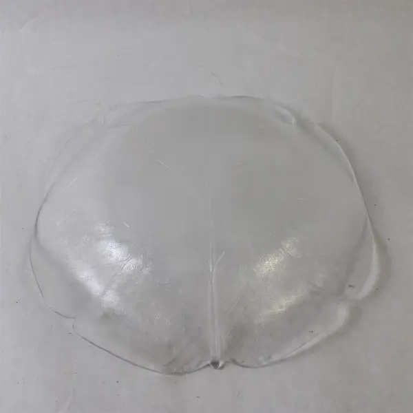 Set of 2 Vintage Clear Glass Leaf Serving Bowls