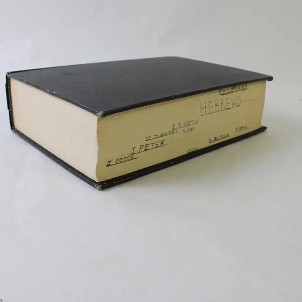 Kenneth S. Wuest Word Studies in the Greek New Testament Vol. II Eerdmans