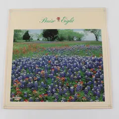 Maranatha! Singers Praise Eight 12" Vinyl Record LP