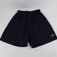 Vintage Easton Men's L Mesh Navy Athletic Gym Shorts with Pockets and Drawstring