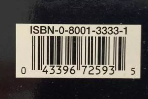 Vintage VHS Blink Madeleine Stone Aidan Quinn 1993 Columbia Pictures Rated R