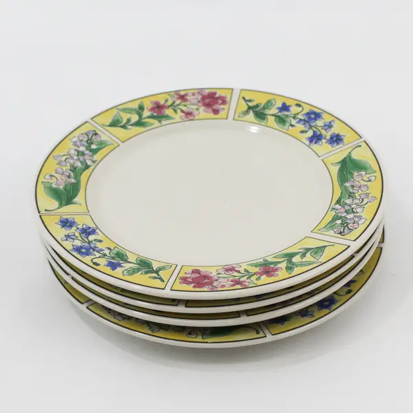 Set of 4 Sakura Majesticware Stoneware SPRING VALLEY  Salad Plates Sue Zipkin