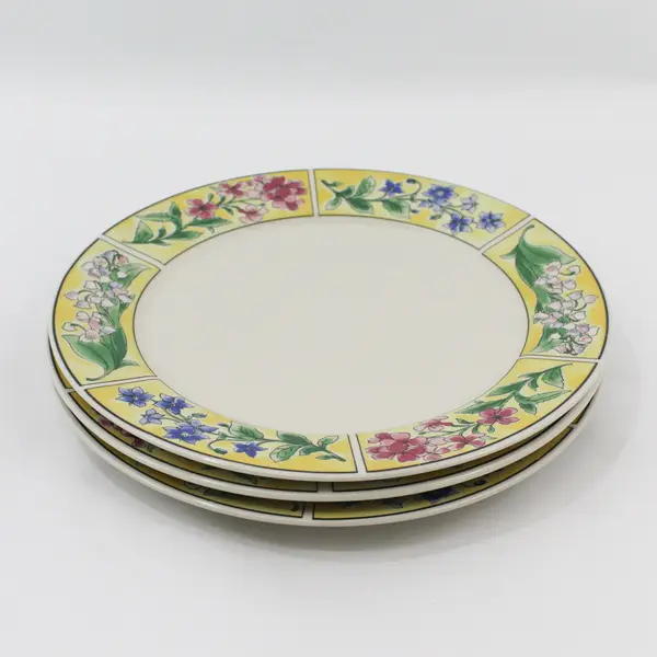 Set of 3 Sakura Majesticware Stoneware SPRING VALLEY  Dinner Plates Sue Zipkin