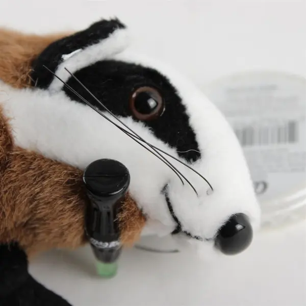 1999 Vintage Coca Cola Bean Bag Plush - Badgy the Badger Czech Republic