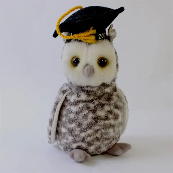 Ty Beanie Baby Smart the Owl Class of 2001 Retired No Ear Tag