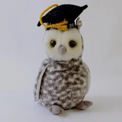 Ty Beanie Baby Smart the Owl Class of 2001 Retired No Ear Tag
