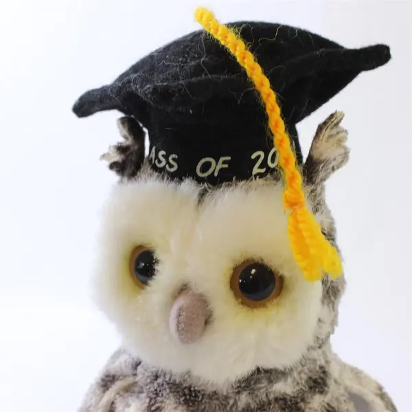 Ty Beanie Baby Smart the Owl Class of 2001 Retired No Ear Tag
