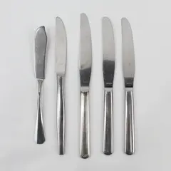 Lot of 5 Stainless Steel Dinner Butter Knives Intl Silver Silco Wallco