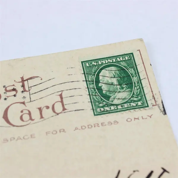 Vintage 1910 Carnival Rose Of Ashland Oregon Litho Postcard
