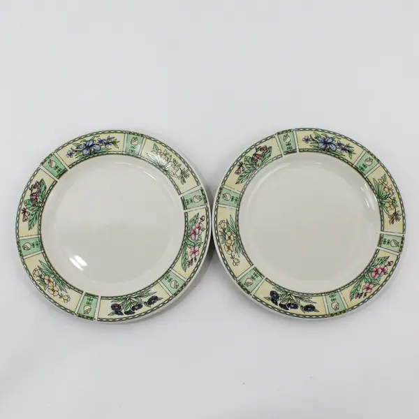 Set of 2 Farberware Chantilly Stoneware Salad Plates 7.5" 